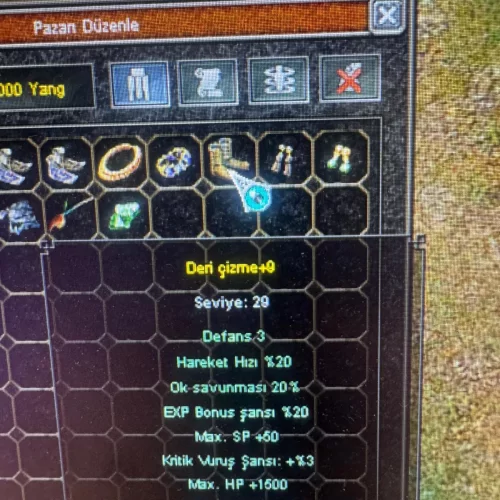  20 EXP +9 DERI CIZME